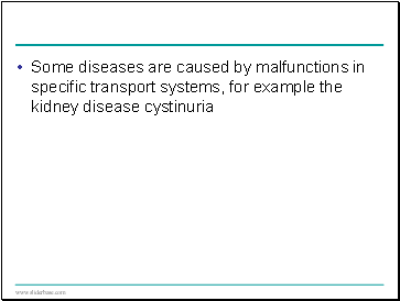 Some diseases are caused by malfunctions in specific transport systems, for example the kidney disease cystinuria