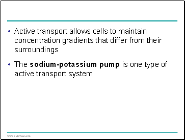 Active transport allows cells to maintain concentration gradients that differ from their surroundings