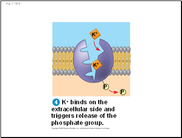 Fig. 7-16-4