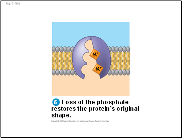 Fig. 7-16-5