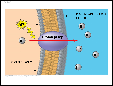 Fig. 7-18