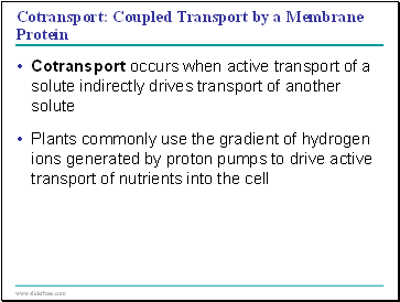 Cotransport: Coupled Transport by a Membrane Protein