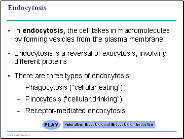 Endocytosis