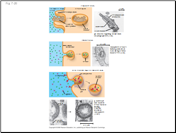 Fig. 7-20