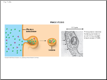 Fig. 7-20b