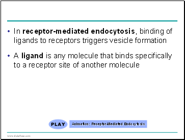 In receptor-mediated endocytosis, binding of ligands to receptors triggers vesicle formation