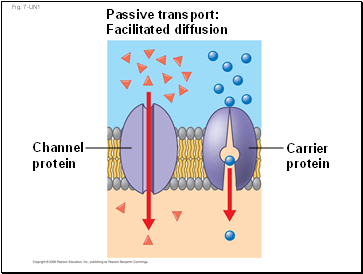 Fig. 7-UN1