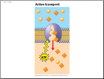 Fig. 7-UN2