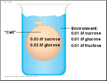 Fig. 7-UN3