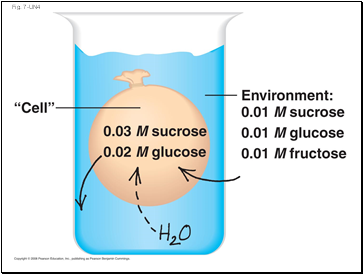 Fig. 7-UN4