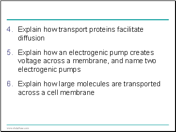 Explain how transport proteins facilitate diffusion