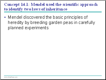 Concept 14.1: Mendel used the scientific approach to identify two laws of inheritance