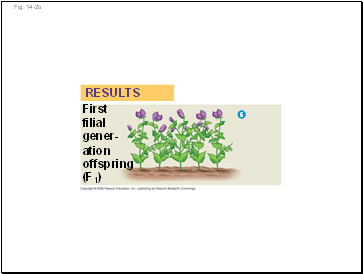 Fig. 14-2b