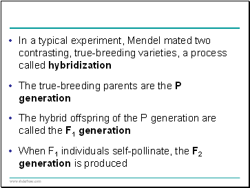 In a typical experiment, Mendel mated two contrasting, true-breeding varieties, a process called hybridization