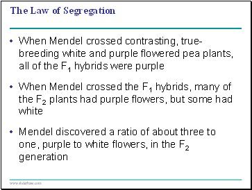 The Law of Segregation