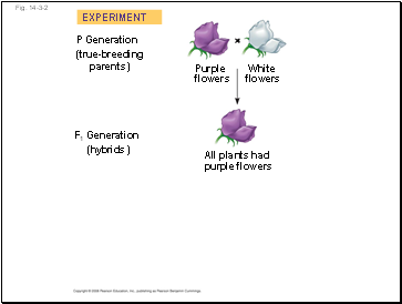 Fig. 14-3-2