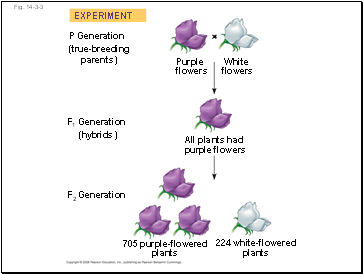 Fig. 14-3-3