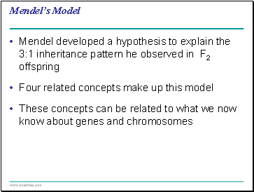 Mendels Model