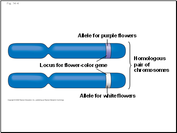 Fig. 14-4