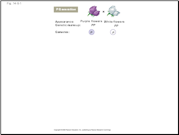 Fig. 14-5-1