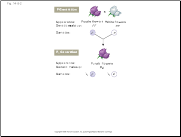 Fig. 14-5-2