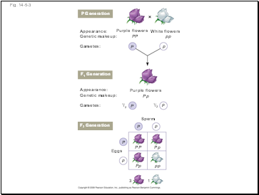 Fig. 14-5-3