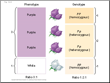 Fig. 14-6