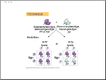 Fig. 14-7a