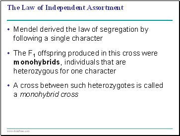 The Law of Independent Assortment