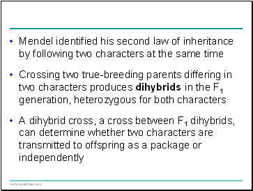 Mendel identified his second law of inheritance by following two characters at the same time