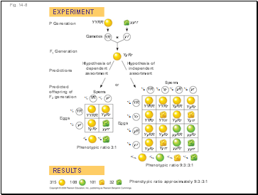 Fig. 14-8