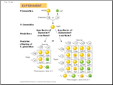 Fig. 14-8a