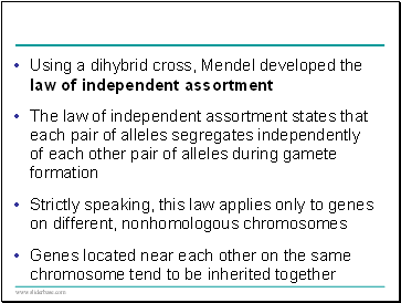 Using a dihybrid cross, Mendel developed the law of independent assortment