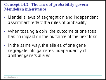 Concept 14.2: The laws of probability govern Mendelian inheritance