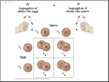 Fig. 14-9