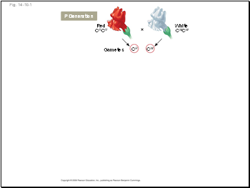 Fig. 14-10-1