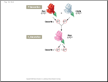 Fig. 14-10-2