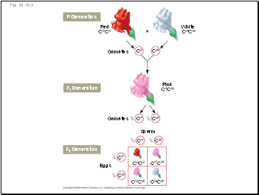 Fig. 14-10-3