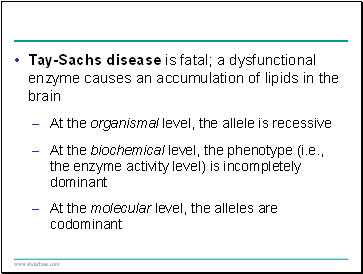 Tay-Sachs disease is fatal; a dysfunctional enzyme causes an accumulation of lipids in the brain