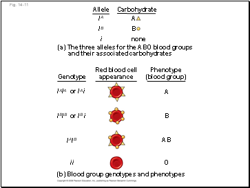 Fig. 14-11