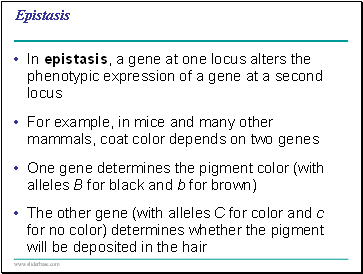 Epistasis