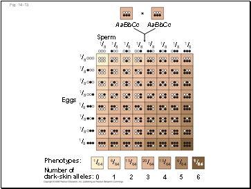 Fig. 14-13