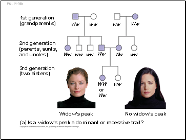 Fig. 14-15b