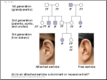 Fig. 14-15c