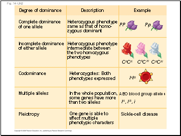 Fig. 14-UN2