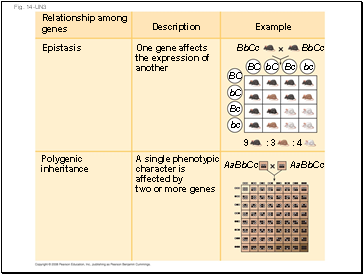 Fig. 14-UN3