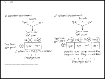 Fig. 14-UN6