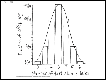 Fig. 14-UN7