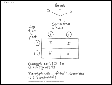 Fig. 14-UN8