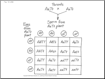 Fig. 14-UN9